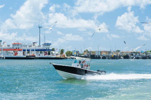 The Victorian image 13