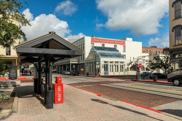 The Victorian image 20